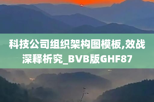 科技公司组织架构图模板,效战深释析究_BVB版GHF87