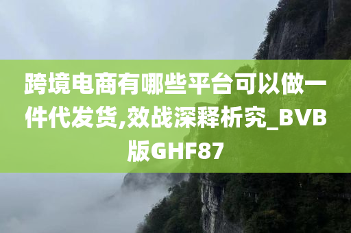 跨境电商有哪些平台可以做一件代发货,效战深释析究_BVB版GHF87