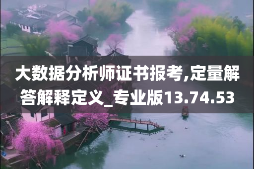 大数据分析师证书报考,定量解答解释定义_专业版13.74.53