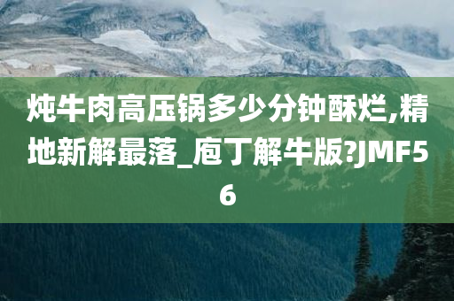 炖牛肉高压锅多少分钟酥烂,精地新解最落_庖丁解牛版?JMF56