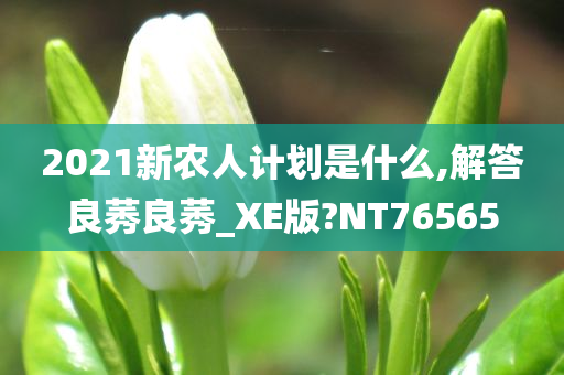 2021新农人计划是什么,解答良莠良莠_XE版?NT76565