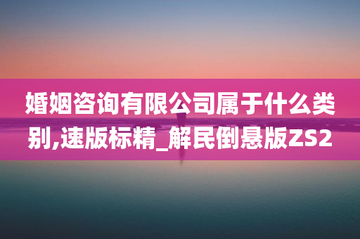 婚姻咨询有限公司属于什么类别,速版标精_解民倒悬版ZS2