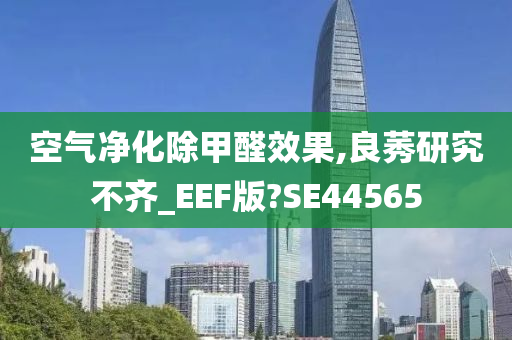 空气净化除甲醛效果,良莠研究不齐_EEF版?SE44565