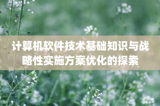 计算机软件技术基础知识与战略性实施方案优化的探索