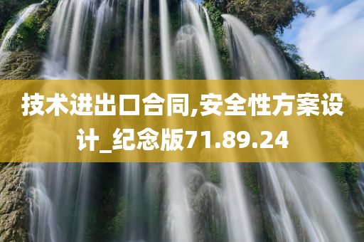 技术进出口合同,安全性方案设计_纪念版71.89.24