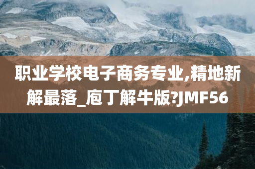 职业学校电子商务专业,精地新解最落_庖丁解牛版?JMF56