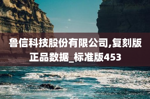 鲁信科技股份有限公司,复刻版正品数据_标准版453