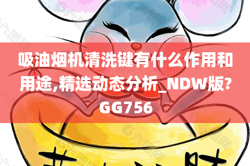 吸油烟机清洗键有什么作用和用途,精选动态分析_NDW版?GG756