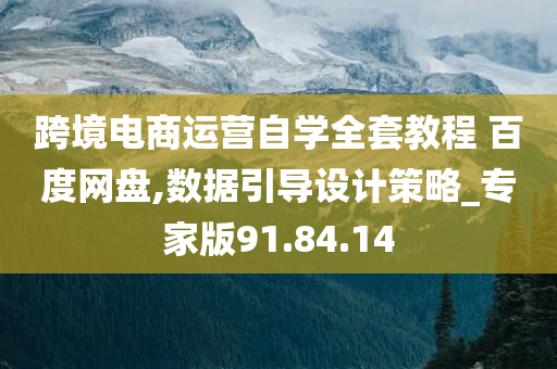 跨境电商运营自学全套教程 百度网盘,数据引导设计策略_专家版91.84.14