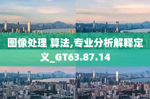 图像处理 算法,专业分析解释定义_GT63.87.14