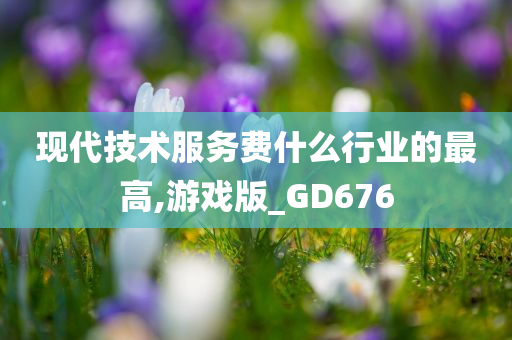 现代技术服务费什么行业的最高,游戏版_GD676