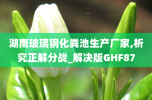 湖南玻璃钢化粪池生产厂家,析究正解分战_解决版GHF87