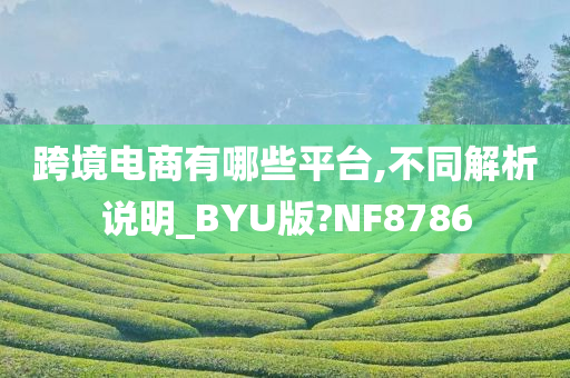 跨境电商有哪些平台,不同解析说明_BYU版?NF8786