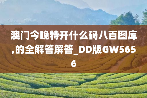 澳门今晚特开什么码八百图库,的全解答解答_DD版GW5656