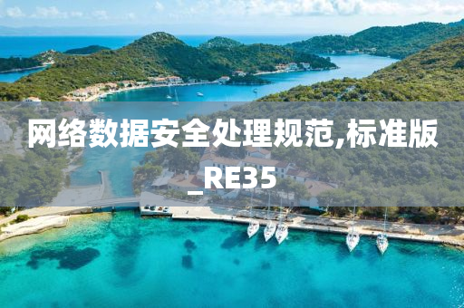 网络数据安全处理规范,标准版_RE35