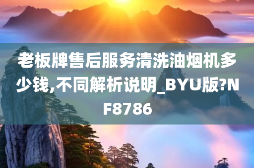 老板牌售后服务清洗油烟机多少钱,不同解析说明_BYU版?NF8786