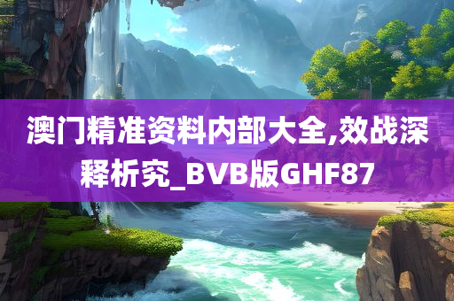 澳门精准资料内部大全,效战深释析究_BVB版GHF87