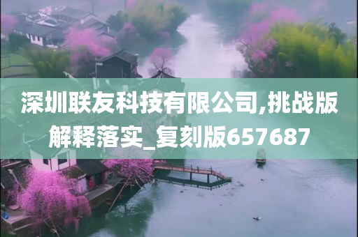 深圳联友科技有限公司,挑战版解释落实_复刻版657687