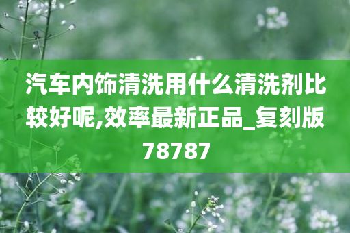 汽车内饰清洗用什么清洗剂比较好呢,效率最新正品_复刻版78787