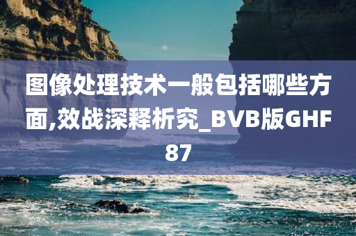 图像处理技术一般包括哪些方面,效战深释析究_BVB版GHF87