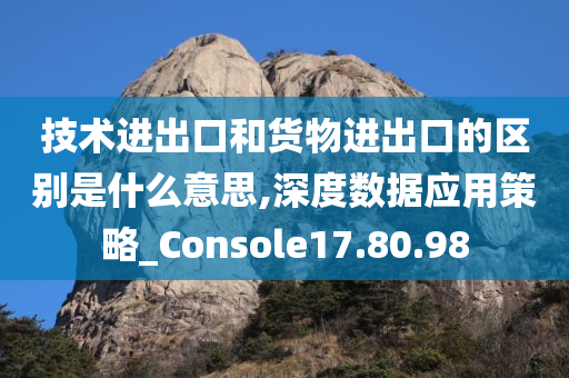 技术进出口和货物进出口的区别是什么意思,深度数据应用策略_Console17.80.98