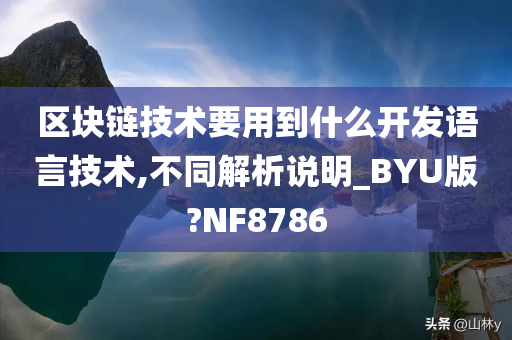 区块链技术要用到什么开发语言技术,不同解析说明_BYU版?NF8786