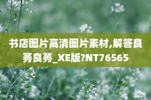 书店图片高清图片素材,解答良莠良莠_XE版?NT76565