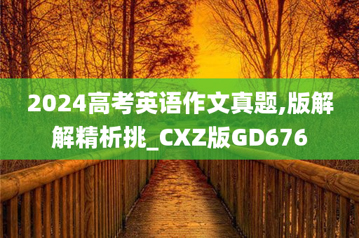 2024高考英语作文真题,版解解精析挑_CXZ版GD676