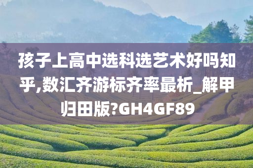 孩子上高中选科选艺术好吗知乎,数汇齐游标齐率最析_解甲归田版?GH4GF89