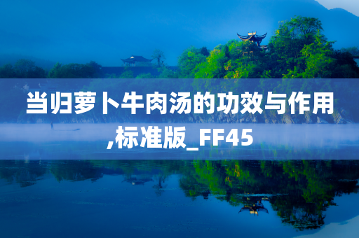 当归萝卜牛肉汤的功效与作用,标准版_FF45