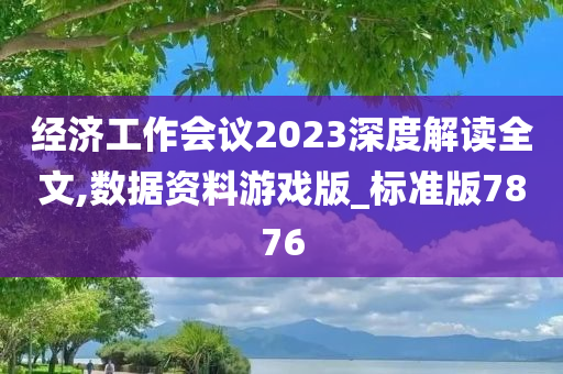 经济工作会议2023深度解读全文,数据资料游戏版_标准版7876