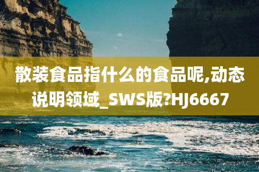 散装食品指什么的食品呢,动态说明领域_SWS版?HJ6667