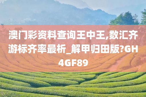 澳门彩资料查询王中王,数汇齐游标齐率最析_解甲归田版?GH4GF89