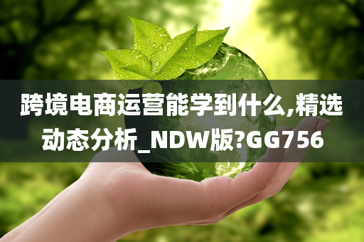 跨境电商运营能学到什么,精选动态分析_NDW版?GG756