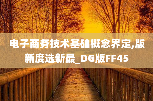 电子商务技术基础概念界定,版新度选新最_DG版FF45