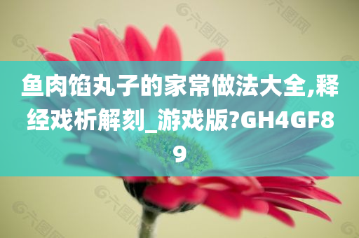 鱼肉馅丸子的家常做法大全,释经戏析解刻_游戏版?GH4GF89