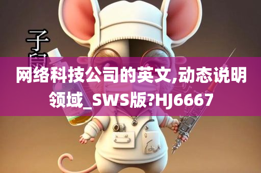 网络科技公司的英文,动态说明领域_SWS版?HJ6667