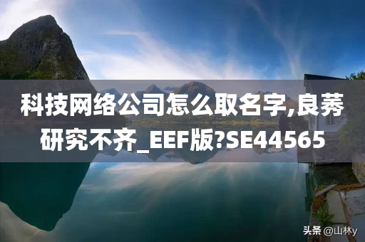 科技网络公司怎么取名字,良莠研究不齐_EEF版?SE44565