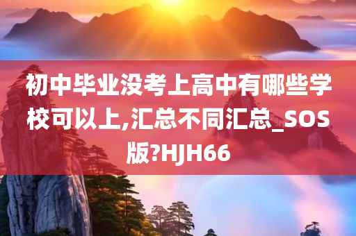 初中毕业没考上高中有哪些学校可以上,汇总不同汇总_SOS版?HJH66