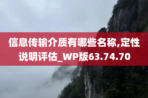 信息传输介质有哪些名称,定性说明评估_WP版63.74.70