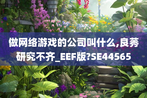 做网络游戏的公司叫什么,良莠研究不齐_EEF版?SE44565