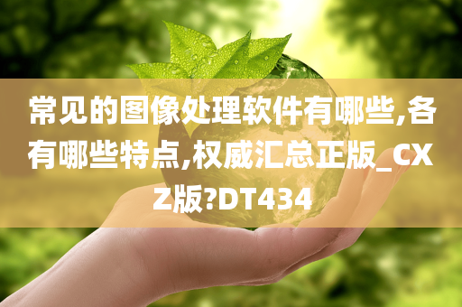 常见的图像处理软件有哪些,各有哪些特点,权威汇总正版_CXZ版?DT434