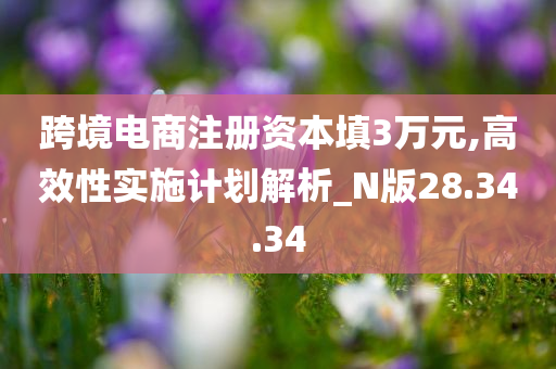 跨境电商注册资本填3万元,高效性实施计划解析_N版28.34.34