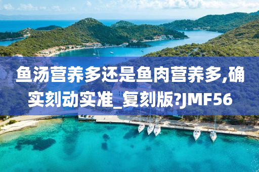 鱼汤营养多还是鱼肉营养多,确实刻动实准_复刻版?JMF56