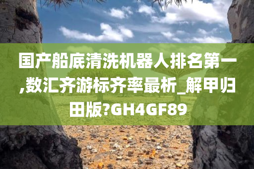 国产船底清洗机器人排名第一,数汇齐游标齐率最析_解甲归田版?GH4GF89