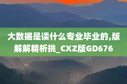 大数据是读什么专业毕业的,版解解精析挑_CXZ版GD676