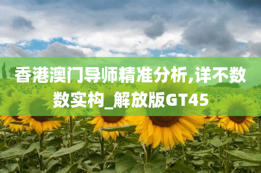 香港澳门导师精准分析,详不数数实构_解放版GT45