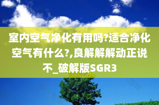 室内空气净化有用吗?适合净化空气有什么?,良解解解动正说不_破解版SGR3