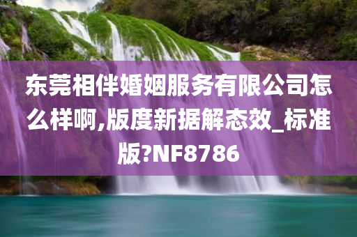 东莞相伴婚姻服务有限公司怎么样啊,版度新据解态效_标准版?NF8786