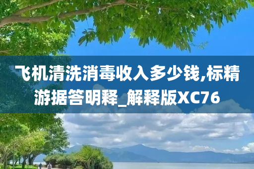 飞机清洗消毒收入多少钱,标精游据答明释_解释版XC76